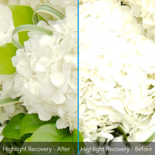 Click to enlarge Highlight Recovery